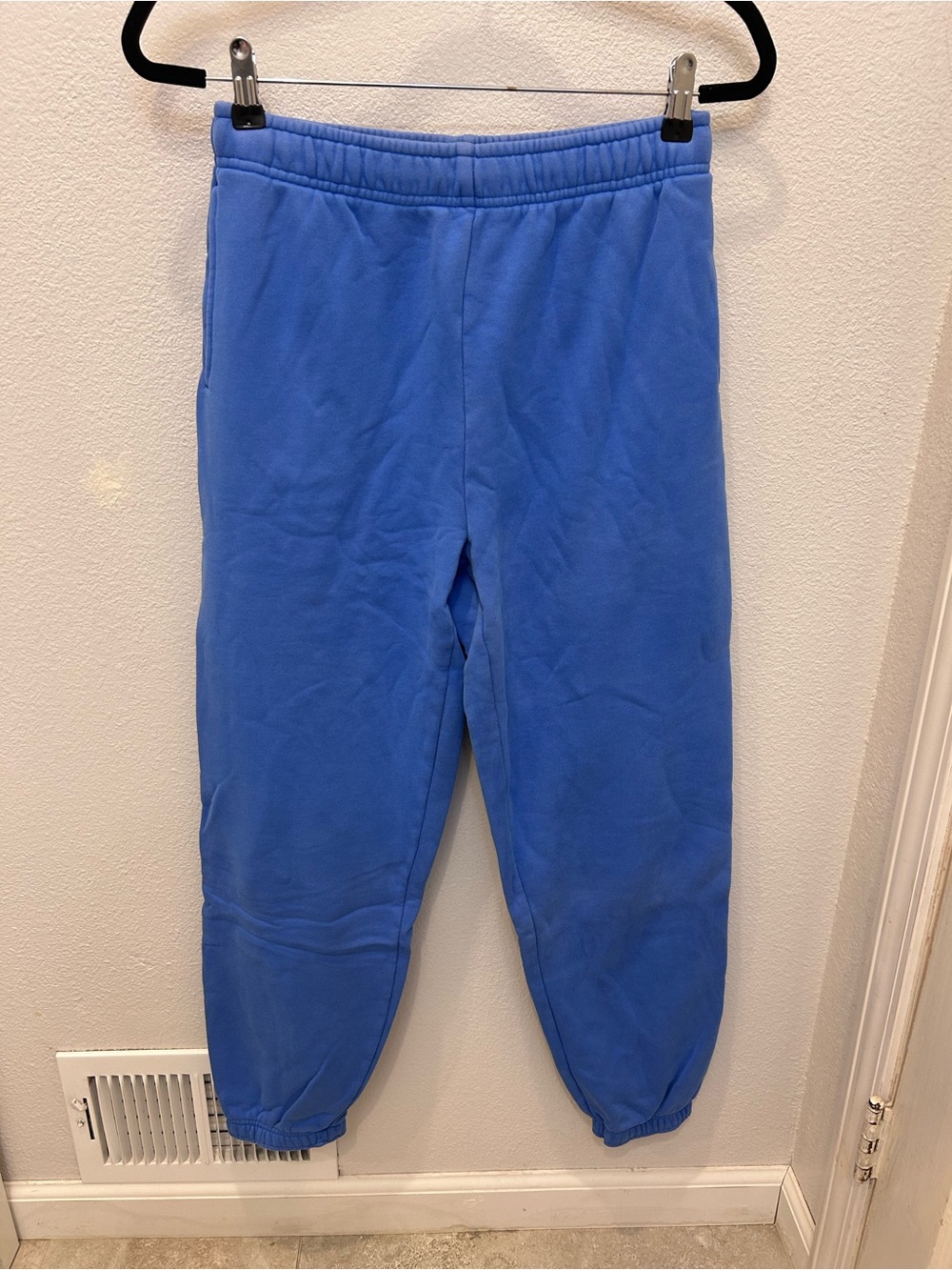 Aritzia TNA Blue Fleece Sweatpants